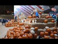 Vlog 42 fuimos al pumpkin patch