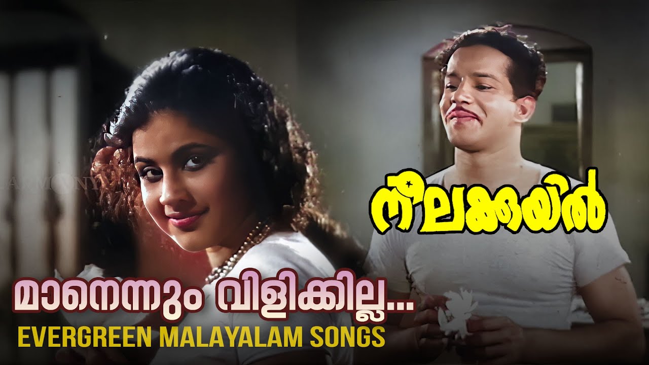 Maanennum Vilikkilla | Neelakuyil | K Raghavan | P Bhaskaran | Video Song