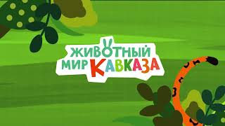 Мастерская В.Г.Тимощенко подготовила первый веб сериал для детей о животном мире Кавказа.