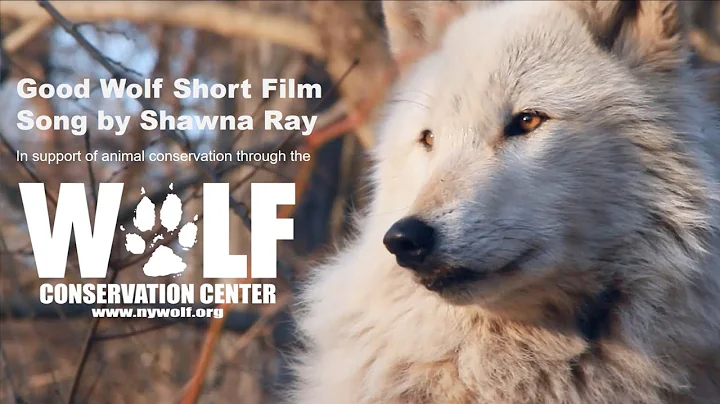 "Good Wolf" by Shawna Ray