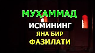 МУҲАММАД ИСМИНИНГ ЯНА БИР ФАЗИЛАТИ // Muhammad ismi haqida malumot