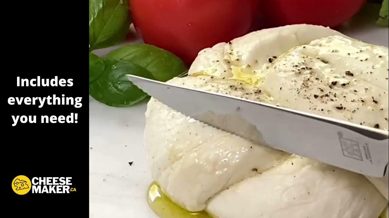 How to use a Cheese Maker Mozza & Ricotta Kit for Mozzarella! 