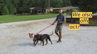 Smith Farms Boarding and Kennels - Best Dog Training, Boarding and Doggy Day Care Metro Atlanta