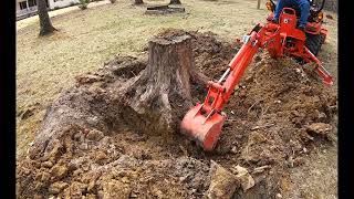 Kubota BX25 pushing its limits digging out a huge stump