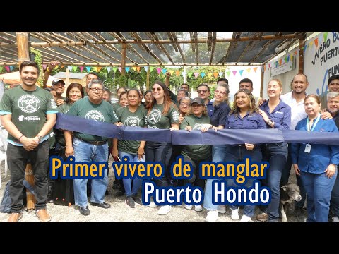 Holcim inaugura primer vivero comunitario de manglar en Puerto Hondo