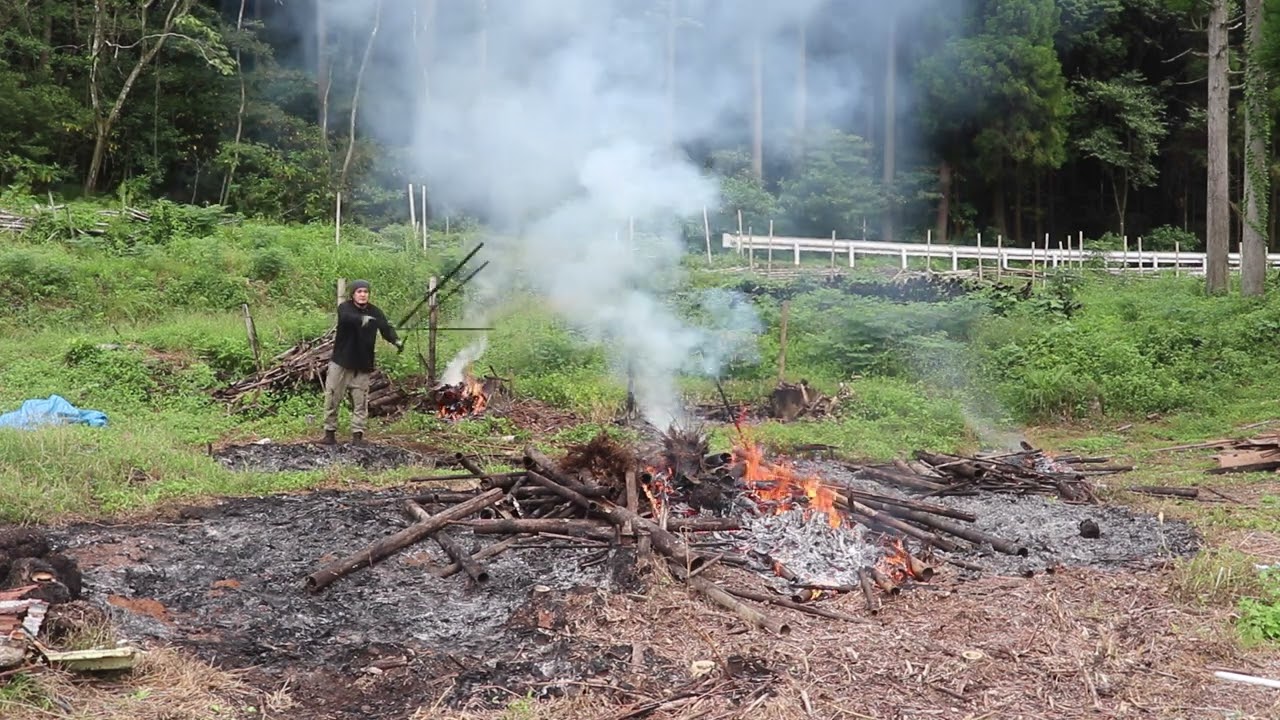 枯れ竹を3か所に分けて小分け焼却！効率アップで畑作り進行中
