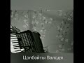 Цопбойты Валодя (Владимир Цопбоев) &quot;Осетинская мелодия&quot;