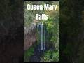 Queen Mary Falls | A must see in South East Queensland #waterfall #exploring #granitebelt #brisbane