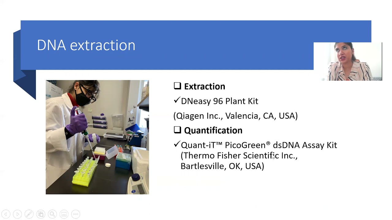 Genetic mapping for Stripe Rust Resistance in a Hexaploid Spring Wheat Population