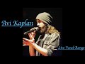 Avi Kaplan Live Vocal Range (E1-E♭5)