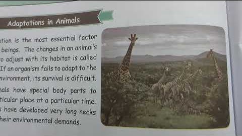 Class 4/TNB/Science/Unit 2-Part 3/Session 34