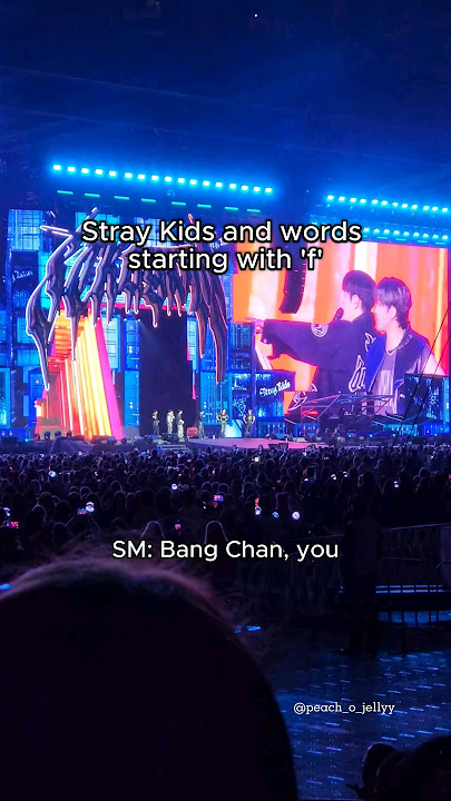 Stray Kids and their ‘f’ words at ‘dominATE’ tour in Melbourne, Australia #StrayKids #스트레이키즈 #shorts