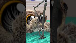 The Findley Song | Lucas the Spider