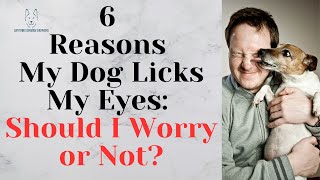 6 Reasons My Dog Licks My Eyes: Should I Worry or Not? by Anything German Shepherd 240 views 5 months ago 52 seconds