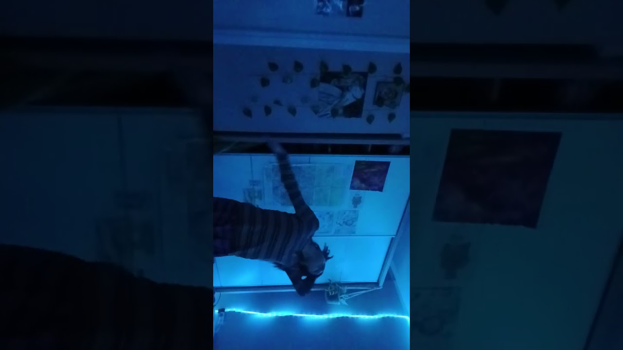 dancing to lazy calm by coctaeu twins