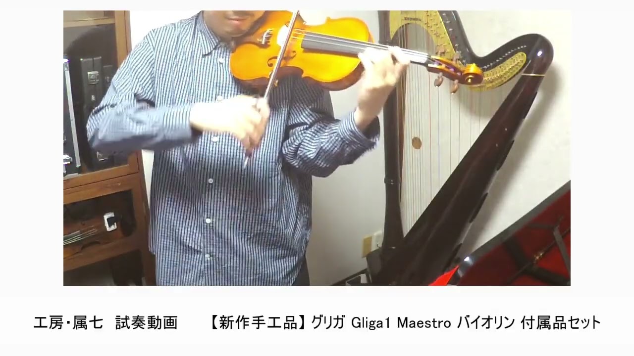 試奏動画 【新作手工品】 グリガ Gliga1 Maestro バイオリン 付属品