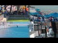 رحلتنا إلى ولاية بنزرت وسيدي بوسعيد خطر كبير الي صار تحب تشري في قليبيه والا تكري شوف الفيديو