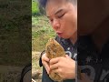 CÅ Ng Già N NhÆ Ng Nà LẠLẠM Bushcraft Duet Camping Satisfying Food Shors CÅ Ng Già N NhÆ Ng Nà LẠLẠM Bushcraft Duet Camping Satisfying Food Shors