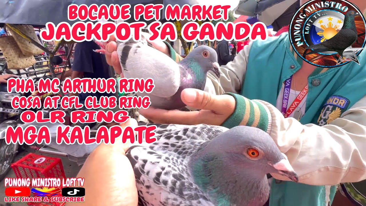 EP902 - JACKPOT SA BOCAUE PET MARKET GANDA NG MGA KALAPATE!