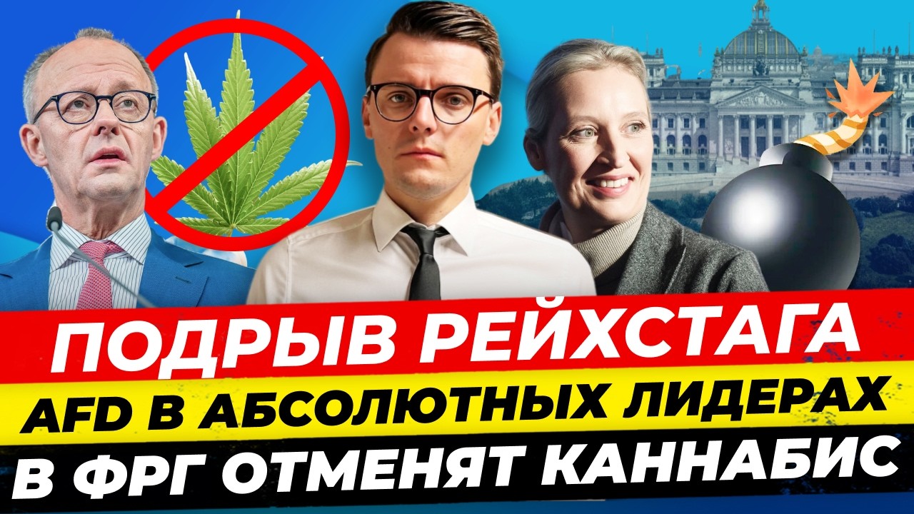 Главные новости 19.2: взрыв в Рейхстаге, отмена каннабиса, AfD побеждает, смертельный вирус Миша Бур