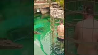 Cage Of Death Diving With Crocodile