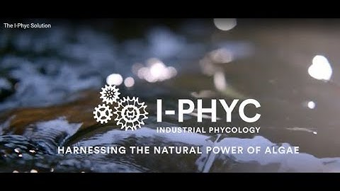 The I-Phyc Story - how it changes wastewater treatment forever
