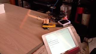 Robot MCU Gear iPad PHP RPi
