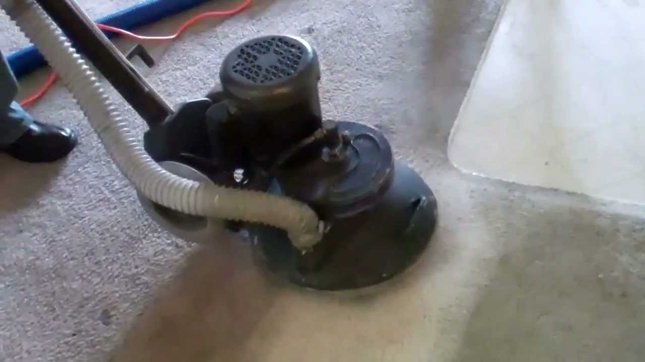 Carpet Cleaning Temecula Can My Dirty Carpet Be Cleaned Or Do I Need