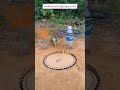 methods of trapping parrots#comedy #funny #birds