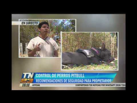 Video: La Legislación Específica De La Raza Le Da A Los Pitbulls Una Mala Reputación