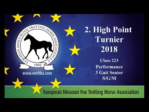 Missouri Fox Trotter EU H.P. Turnier II. 2018-3Gait Performance LK I
