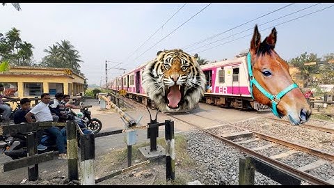 Dangerous Angry Tiger & Mad Horse Headed Pink ICF Emu Local Furious Moving Throughout At Railgate 