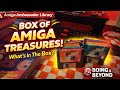 BOX OF AMIGA TREASURES