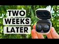 Samsung Galaxy Buds FE: Problems &amp; Best Features After 2 Weeks