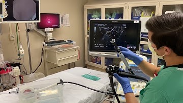 Deploying a LAMS (AXIOS) stent step by step