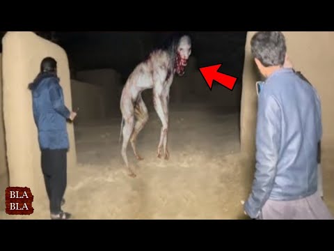 أقوى 10 مشاهد مرعبة صورتها عدسات الكاميرا سنة 2023 بلابلا