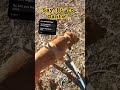 Hiking With Dante #mydog #shorts #youtubeshorts #youtube #dog #lifeonearth #myanimal