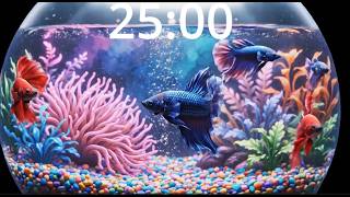 25 Minute Beta Fish Timer | Calm Tank Countdown 🐟✨#beta #fishing #focustimer #lofi #lofivibes #cozy