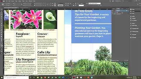 IN CC 2020 CIAB CH 4 Part 2 Working With Objects Danielle Oser Source
