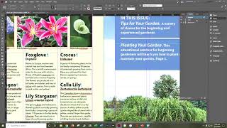 IN CC 2020 CIAB CH 4 Part 2 Working With Objects Danielle Oser Source
