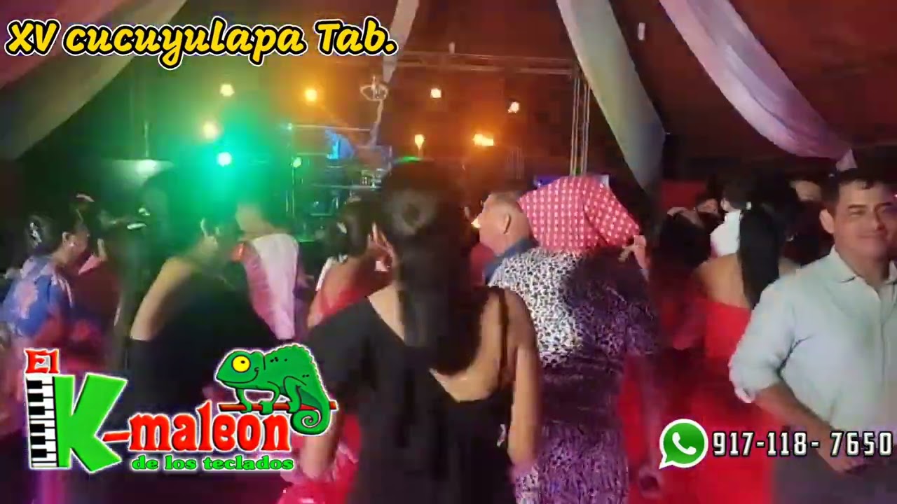 El camaleón de los teclados - vaquero & ya no se usa peludo en vivo