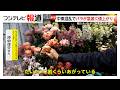 中東情勢で輸入ルート変更バラ急激に値上がり 新入生の制服も原油高騰で価格上昇か(2026年03月19日)