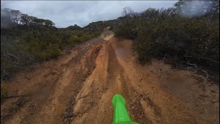 Tree Down | Cow Mountain Wet and Muddy KLX 300 Dual Sport Rainy Day Adventure | Trail Maintenance