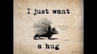 14 lessons from How to Hug a Porcupine #viral #viralvideo