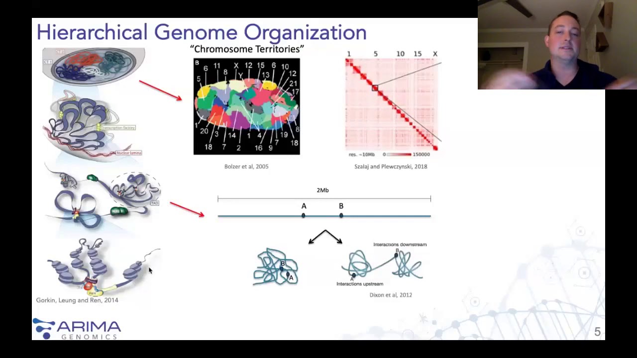 Epigenetics in Human Health and Disease Webinar co-hosted by Arima Genomics & Agilent