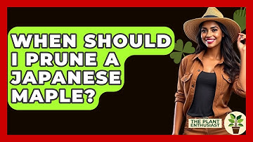 When Should I Prune A Japanese Maple? - The Plant Enthusiast