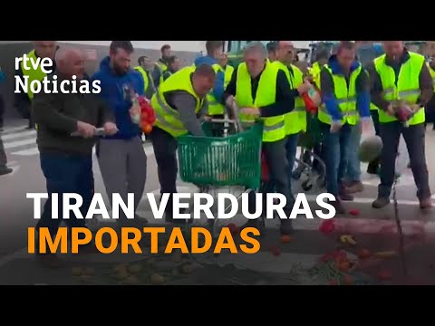PROTESTAS CAMPO: Los AGRICULTORES se movilizan por CUARTO DÍA y cortan varias CARRETERAS | RTVE
