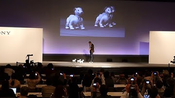 Aibo robots approach Sony CEO Hirai [RAW VIDEO]