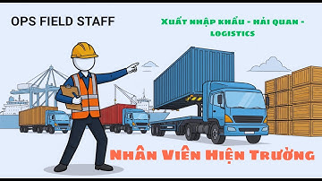 Việc Làm Nhân Viên Hiện Trường (OPS): Người Hùng Thầm Lặng Của Ngành Logistics & Xuất Nhập Khẩu