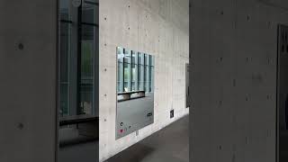 Youth Tadao Ando Museum San